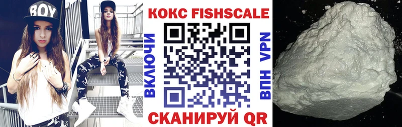Cocaine FishScale  Купить  Кяхта 