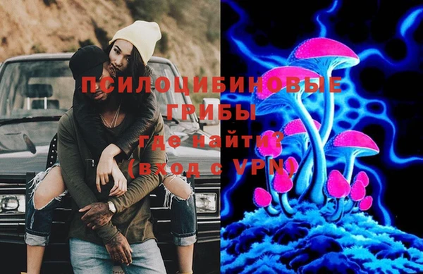 PSILOCYBIN Кодинск