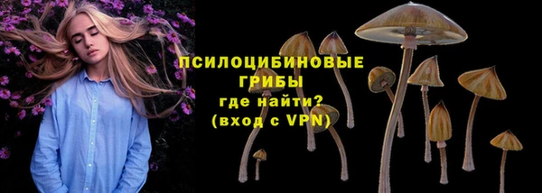 стафф Козловка
