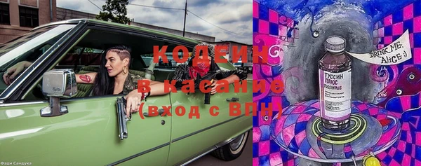PSILOCYBIN Кодинск