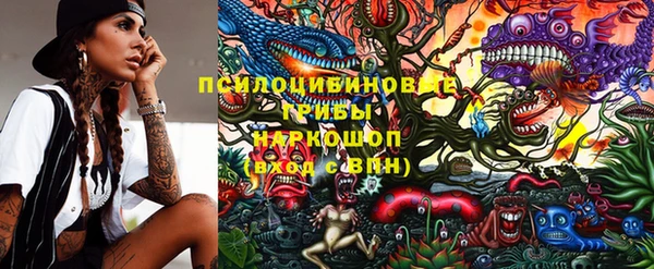 PSILOCYBIN Кодинск