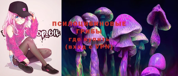 стафф Козловка