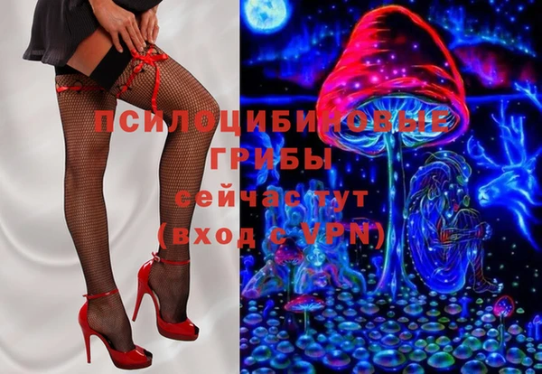 PSILOCYBIN Кодинск