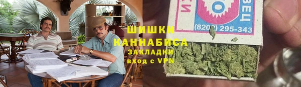 стафф Козловка