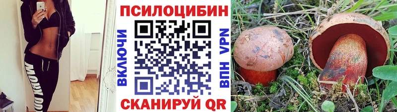 Купить закладки  Кяхта  Псилоцибиновые грибы Magic Shrooms 